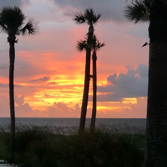 Meet your Posher, artlived - Picture 7 of 13